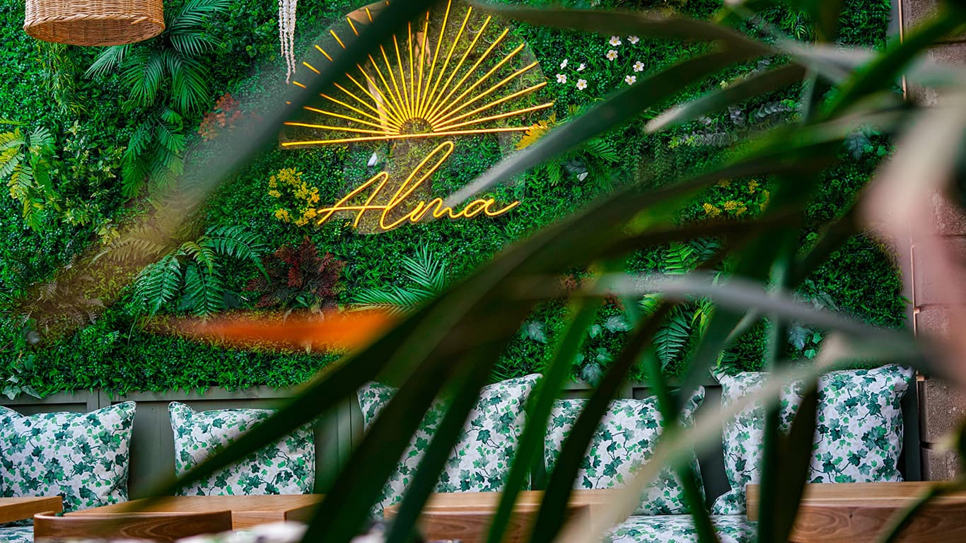 Cocktails et ambiance du bar au restaurant Alma